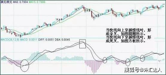 干货分享：那些想赚钱的外汇小白，试试这两个核心技术指标吧！