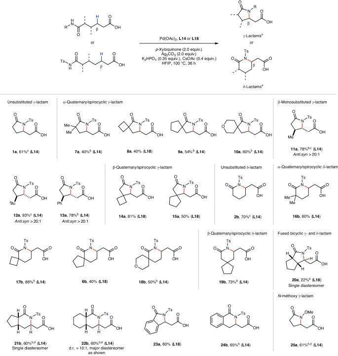 余金权，今日最新Nature Synthesis